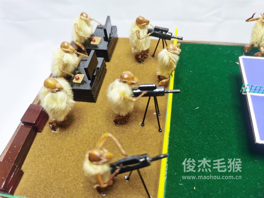 乒乓球赛_大型北京毛猴作品_鸡翅木木托+方形玻璃罩3.jpg
