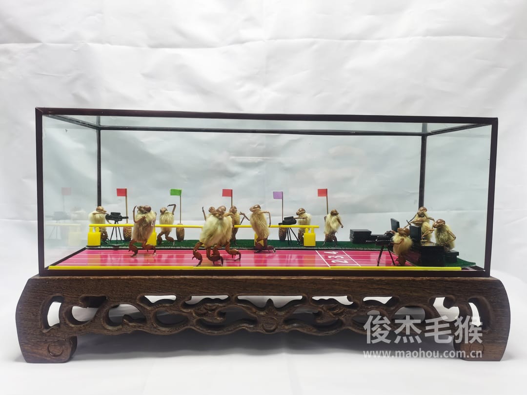 赛跑_大型北京毛猴作品_红木木托+方形玻璃罩1.jpg