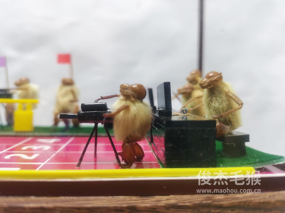 赛跑_大型北京毛猴作品_红木木托+方形玻璃罩3.jpg