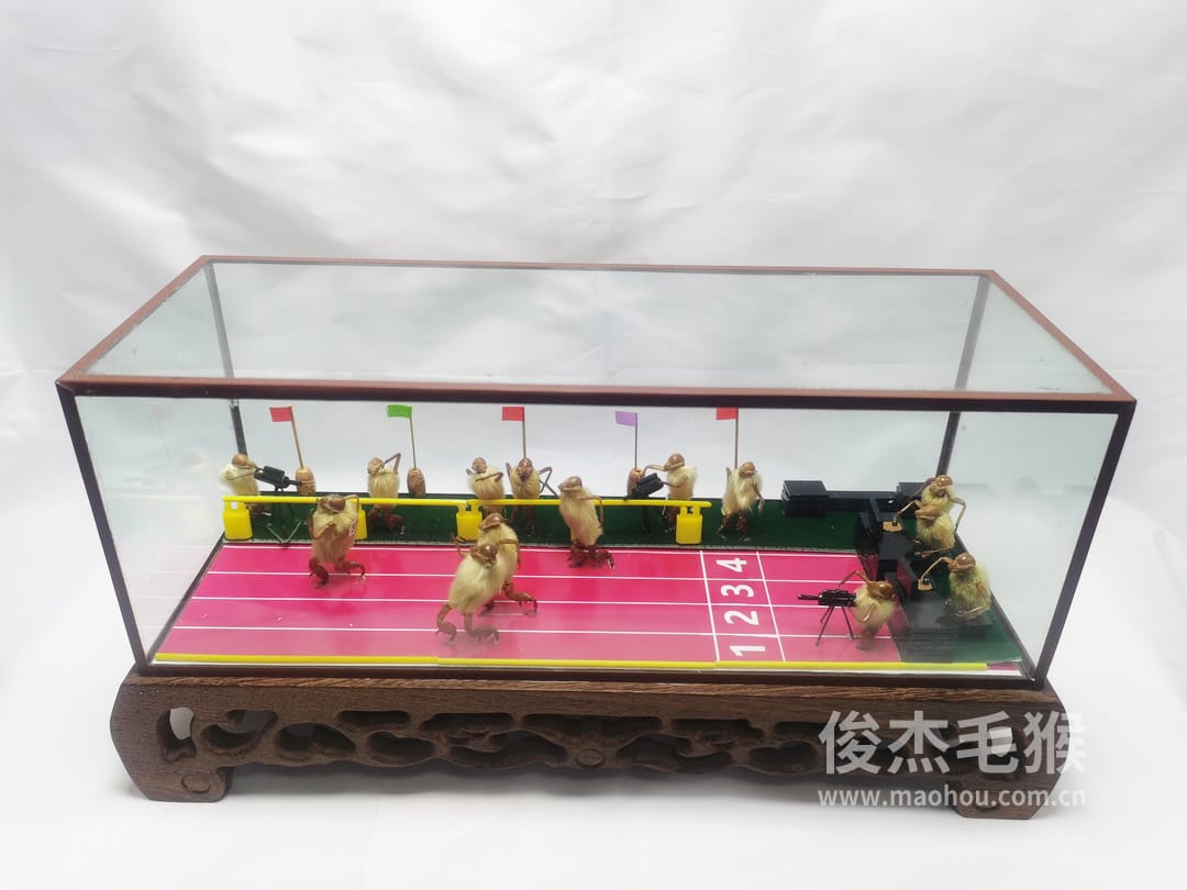 赛跑_大型北京毛猴作品_红木木托+方形玻璃罩4.jpg