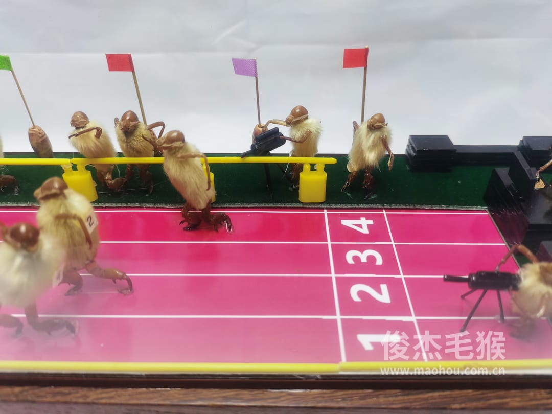 赛跑_大型北京毛猴作品_红木木托+方形玻璃罩5.jpg
