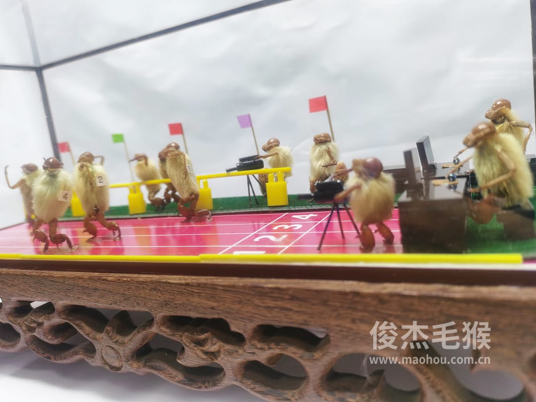 赛跑_大型北京毛猴作品_红木木托+方形玻璃罩6.jpg