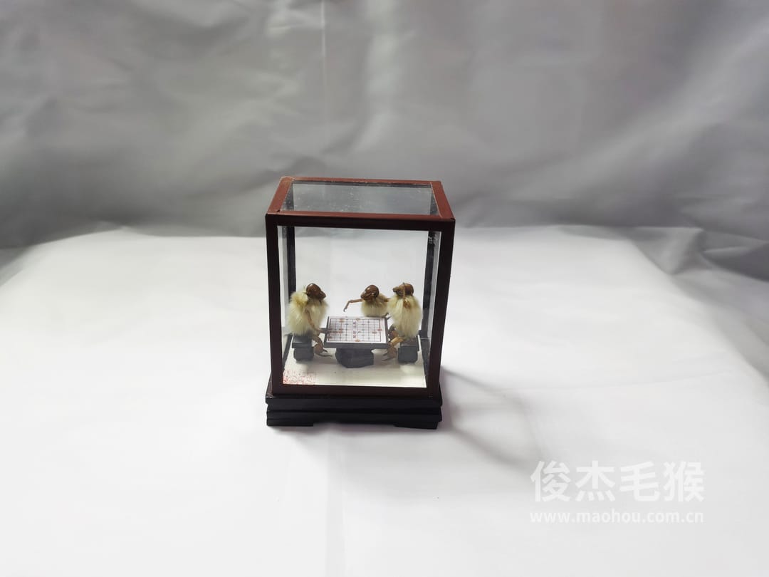 下象棋_小型北京毛猴作品_玻璃方形底座+方形玻璃罩3.jpg
