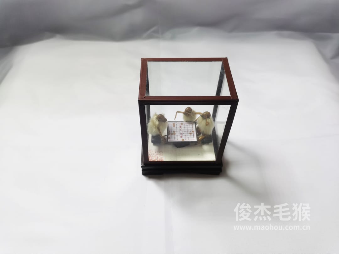 下象棋_小型北京毛猴作品_玻璃方形底座+方形玻璃罩4.jpg