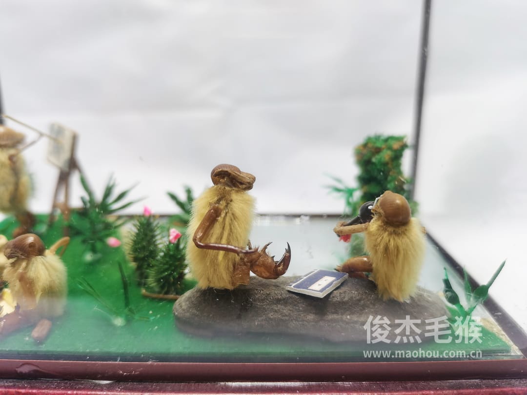 写生_中型北京毛猴作品_压缩木木托+方形玻璃罩2.jpg