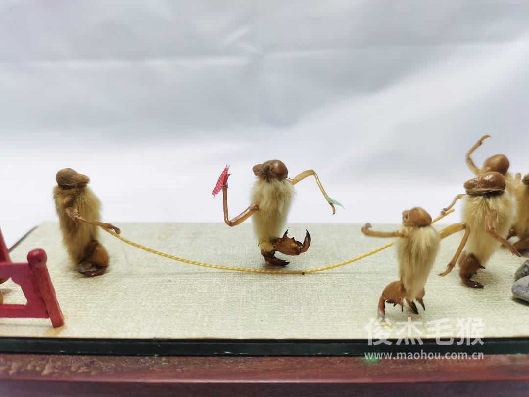 摇大绳_中型北京毛猴作品_红木木托+方形玻璃罩2.jpg