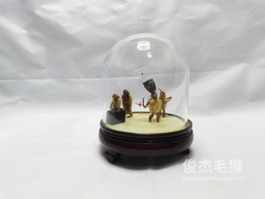 杂技顶缸_小型北京毛猴作品_桦木底座+圆玻璃罩6.jpg