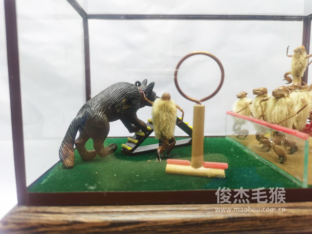 杂技跳圈_中型北京毛猴作品_鸡翅木木托+方形玻璃罩3.jpg