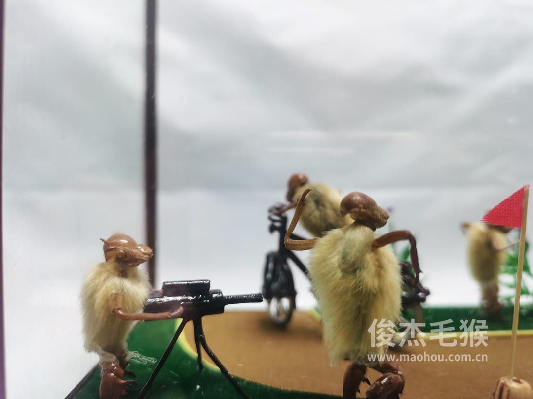 自行车比赛_大型北京毛猴作品_鸡翅木木托+方形玻璃罩4.jpg