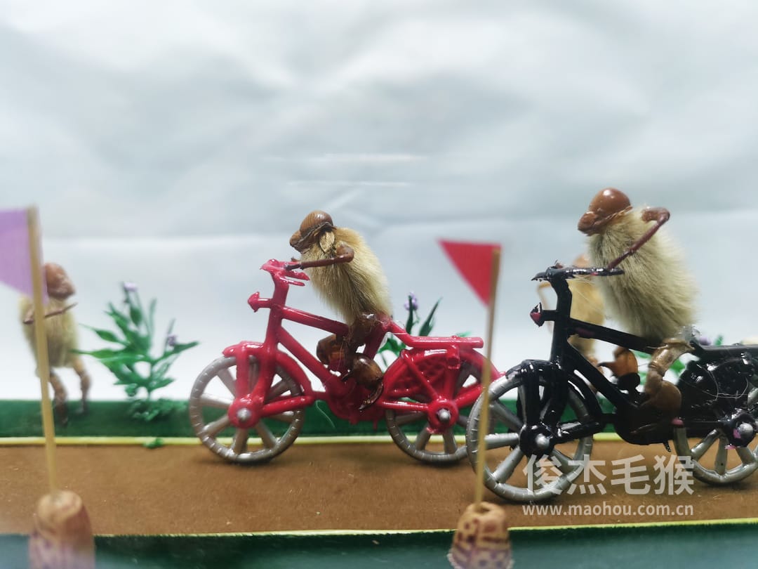 自行车比赛_大型北京毛猴作品_鸡翅木木托+方形玻璃罩5.jpg
